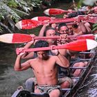 Maori Warrior