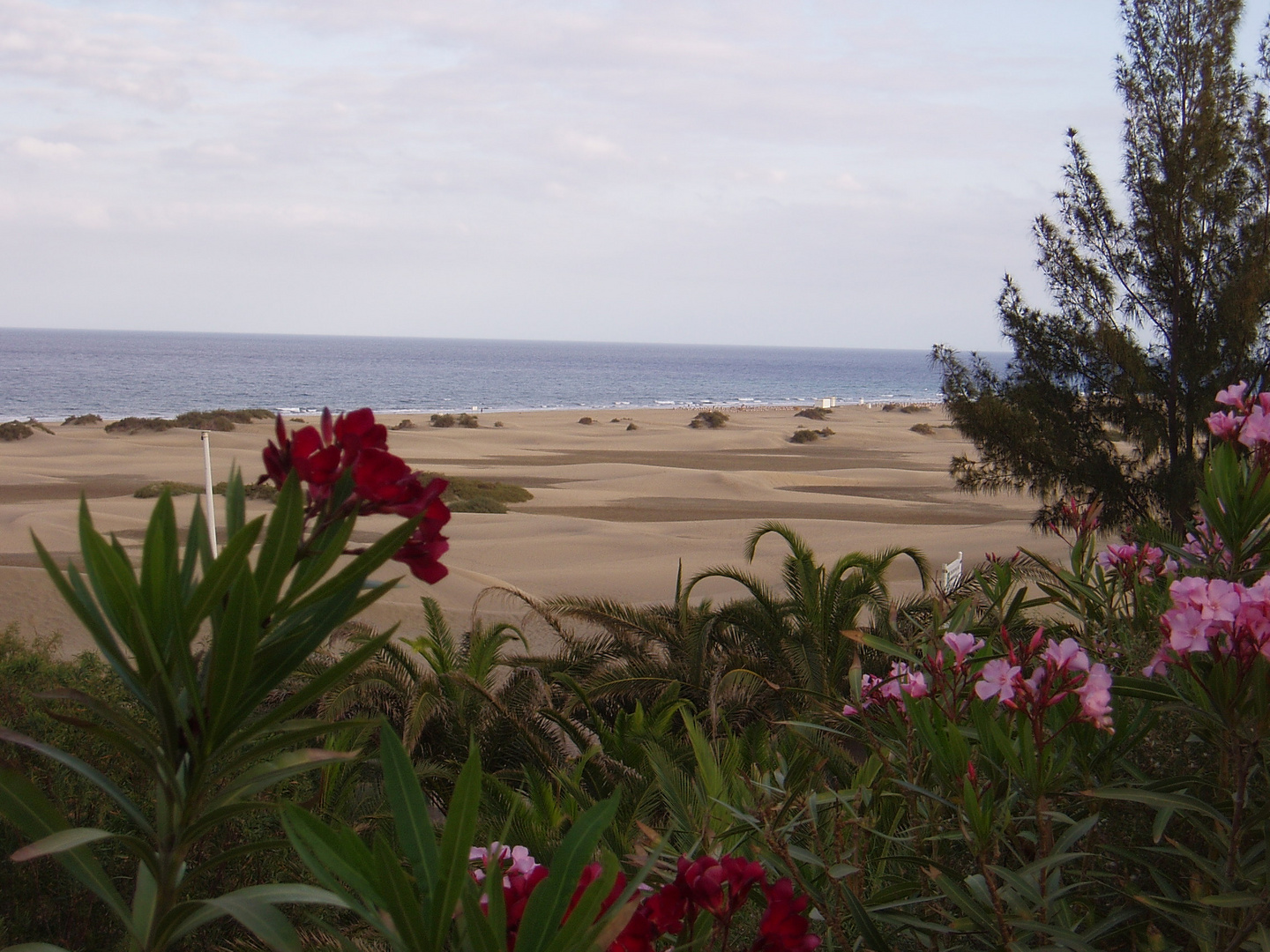 Mapalomas