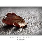 Maple leaf