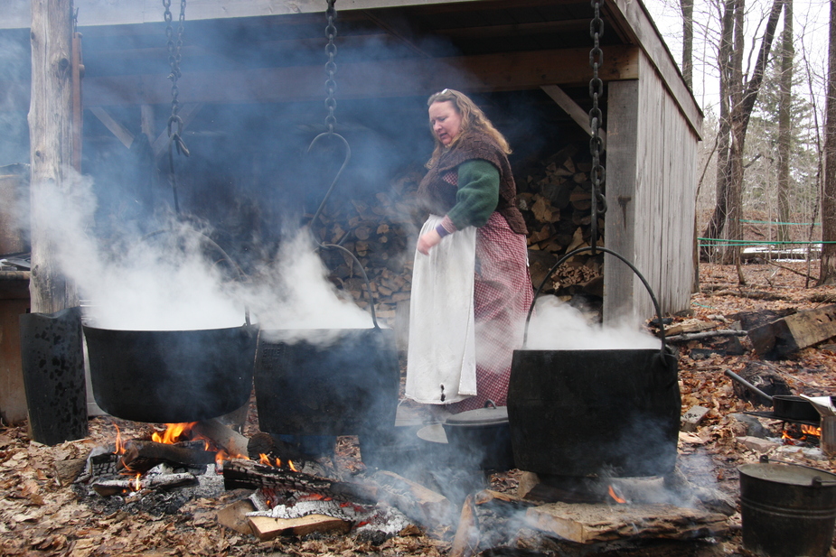 Maple Syrup Time