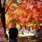 Maplewood Cemetery.....