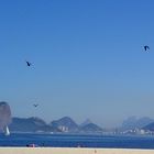 Mar, barcos e gaivotas.