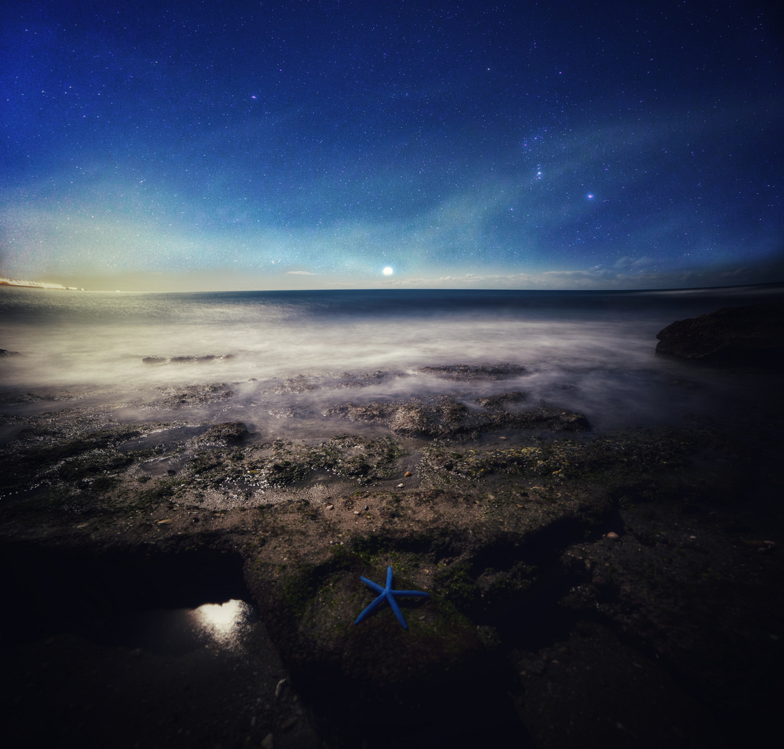 Mar de estrellas 