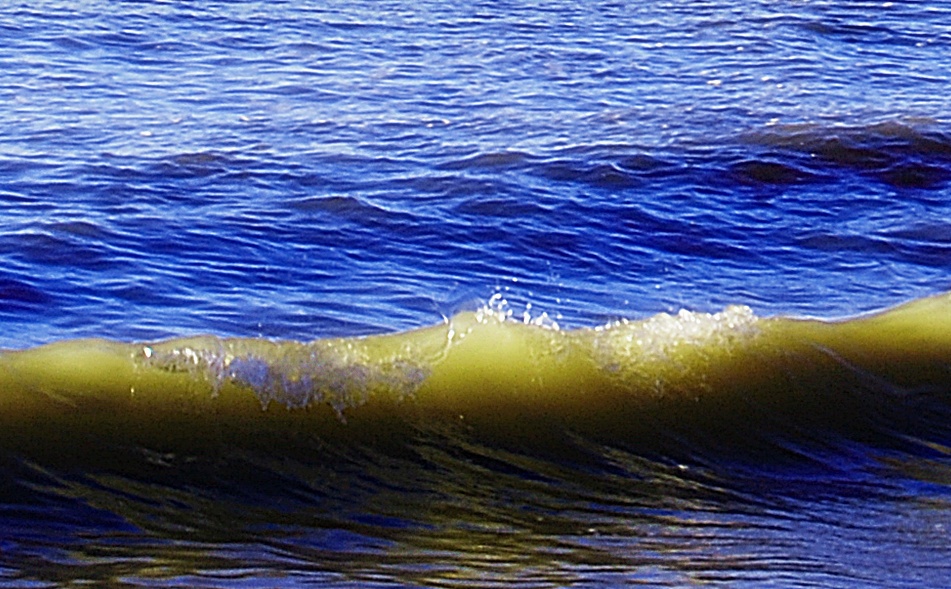 Mar de sant carlos de rapita