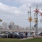 mar del plata