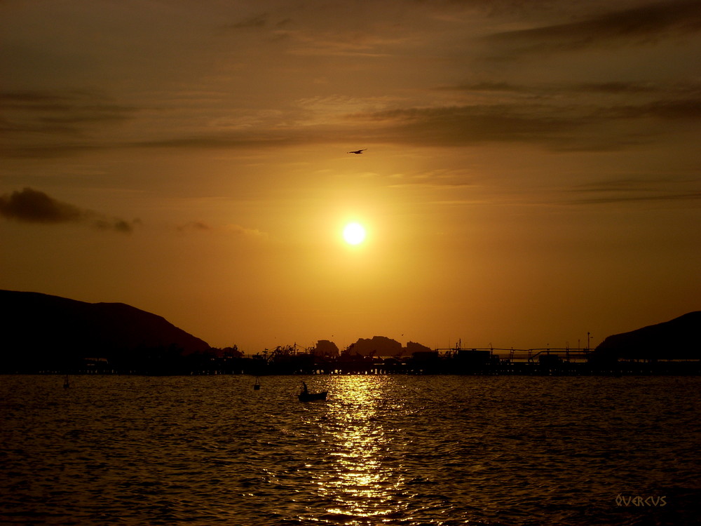 Mar dorado, vida dorada