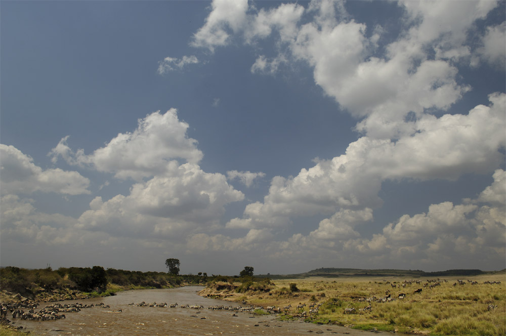 Mara crossing