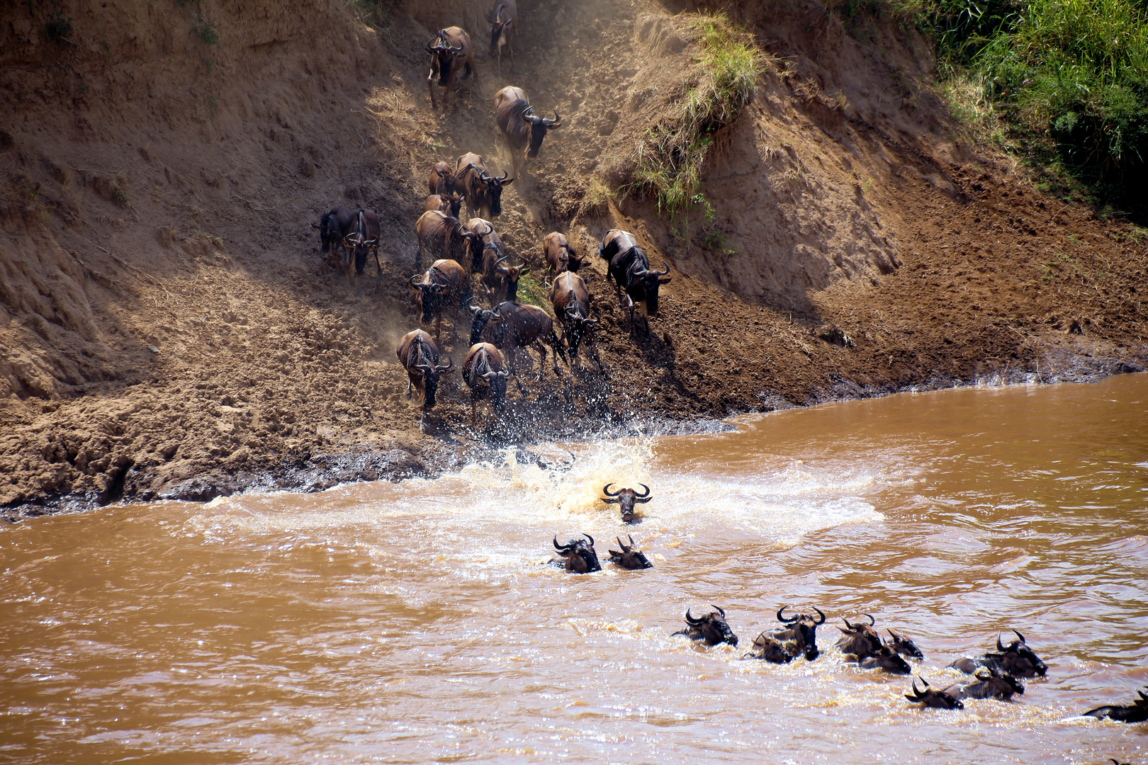 Mara Crossing