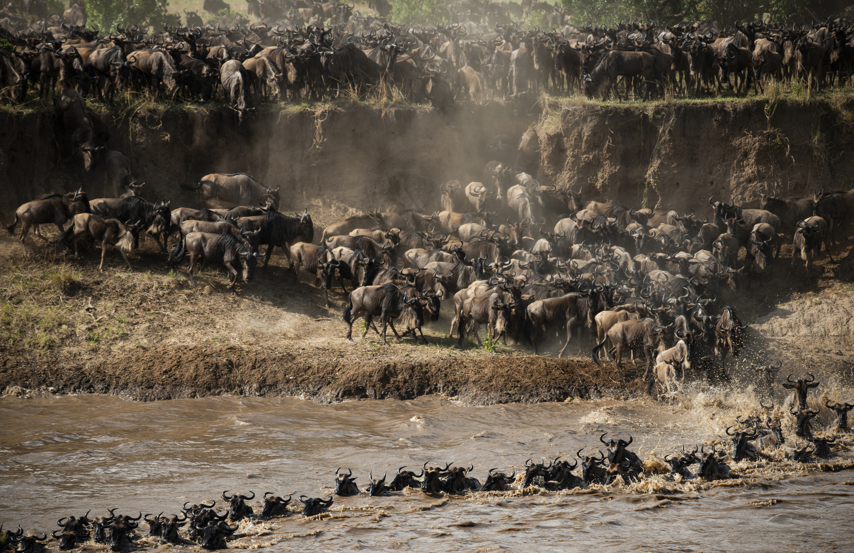 Mara Fluss Überquerung beginnt