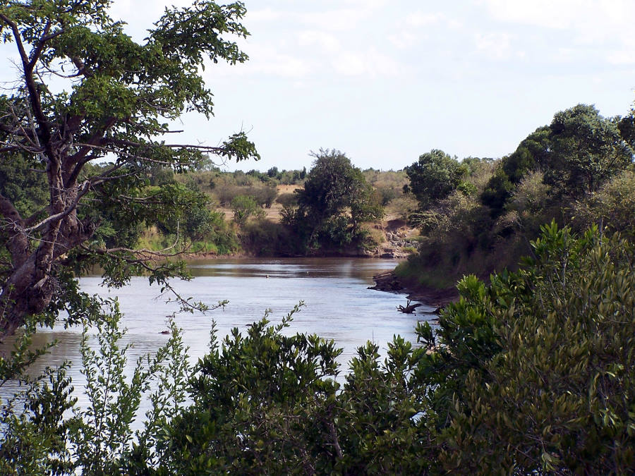 Mara River