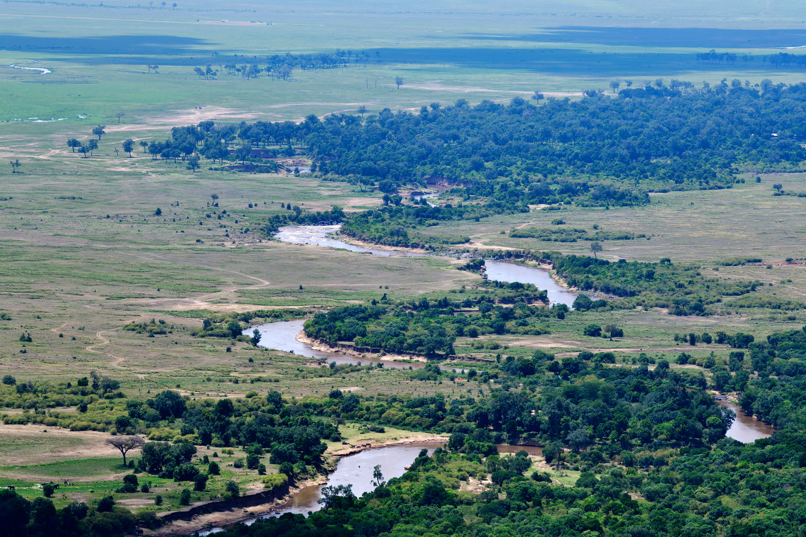 Mara River