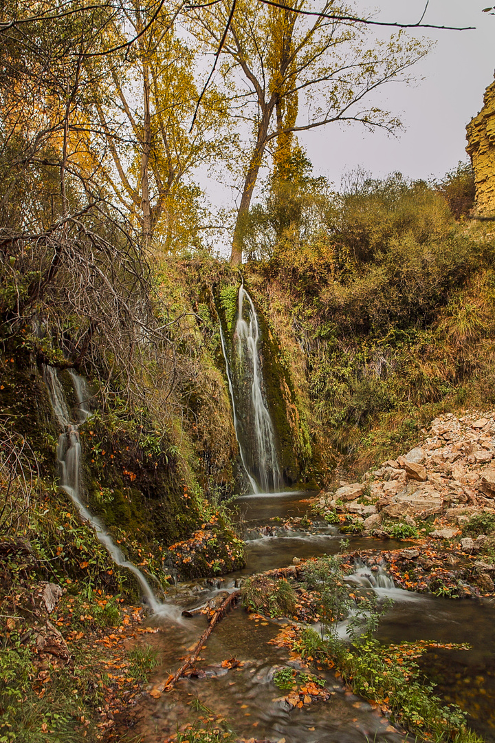 Maraña en el rio