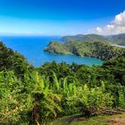 Maracas Bay Lookout