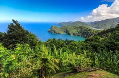 Maracas Bay Lookout