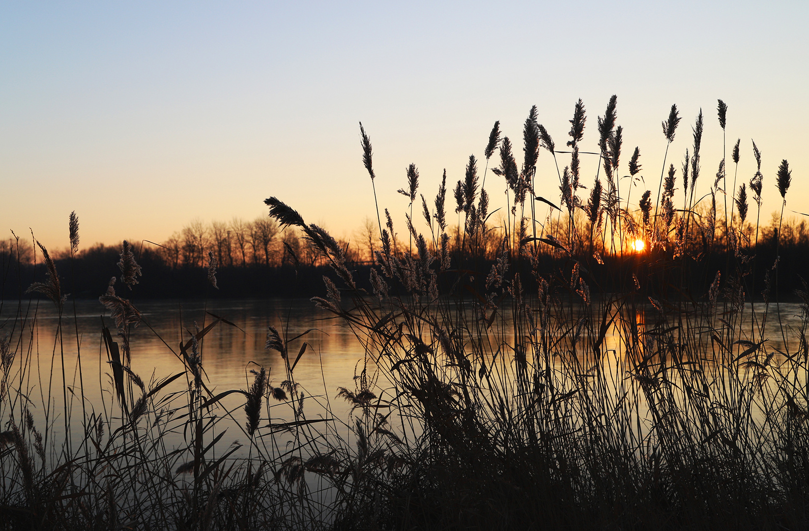 Marais au lever du soleil