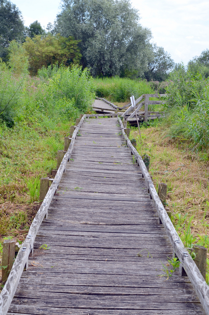 Marais audomarois