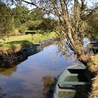 marais Breton