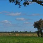 Marais de Brouage