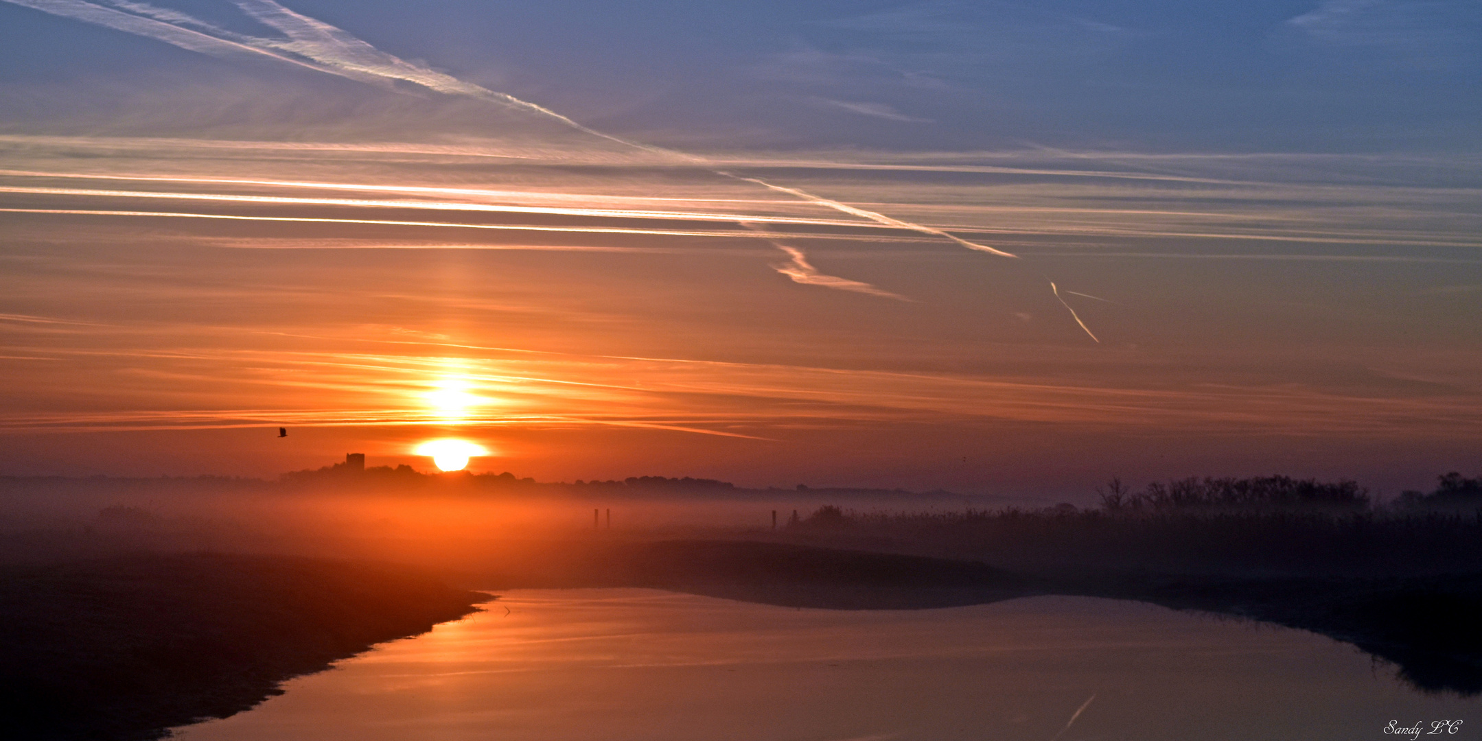 Marais de brume