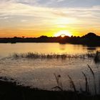 Marais de Guérande - 08.07.2019