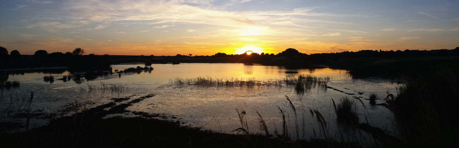 Marais de Guérande - 08.07.2019