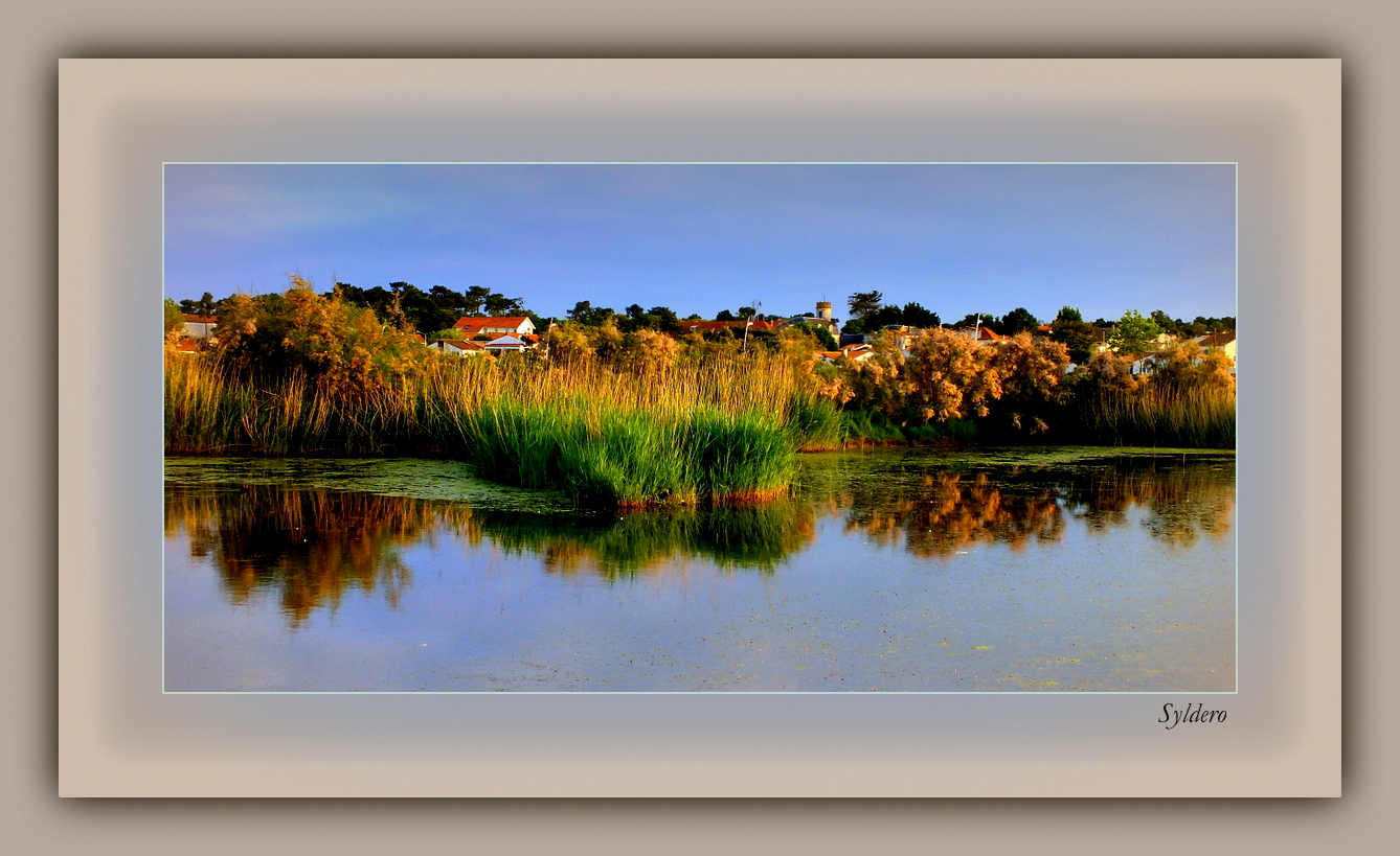 Marais de l'éguillon