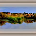 Marais de l'éguillon