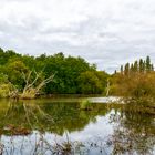  Marais du château de Suscinio . 