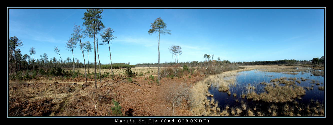 Marais du Cla ( Sud GIRONDE )