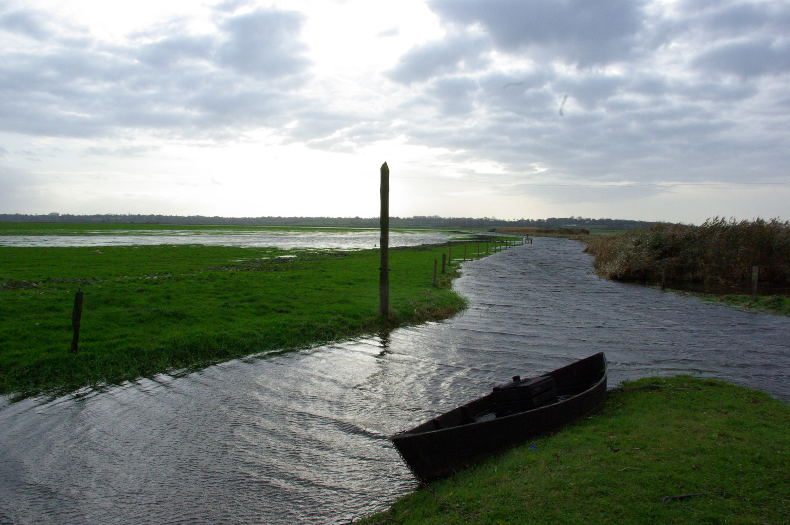 marais du Cotentin