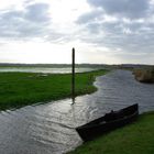 marais du Cotentin