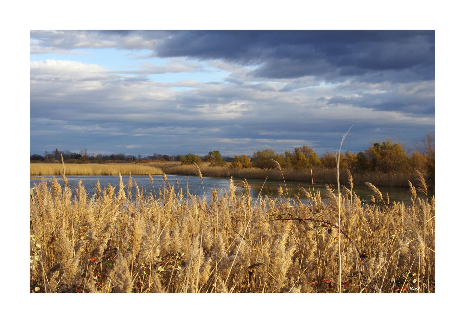 Marais du Verdier ...