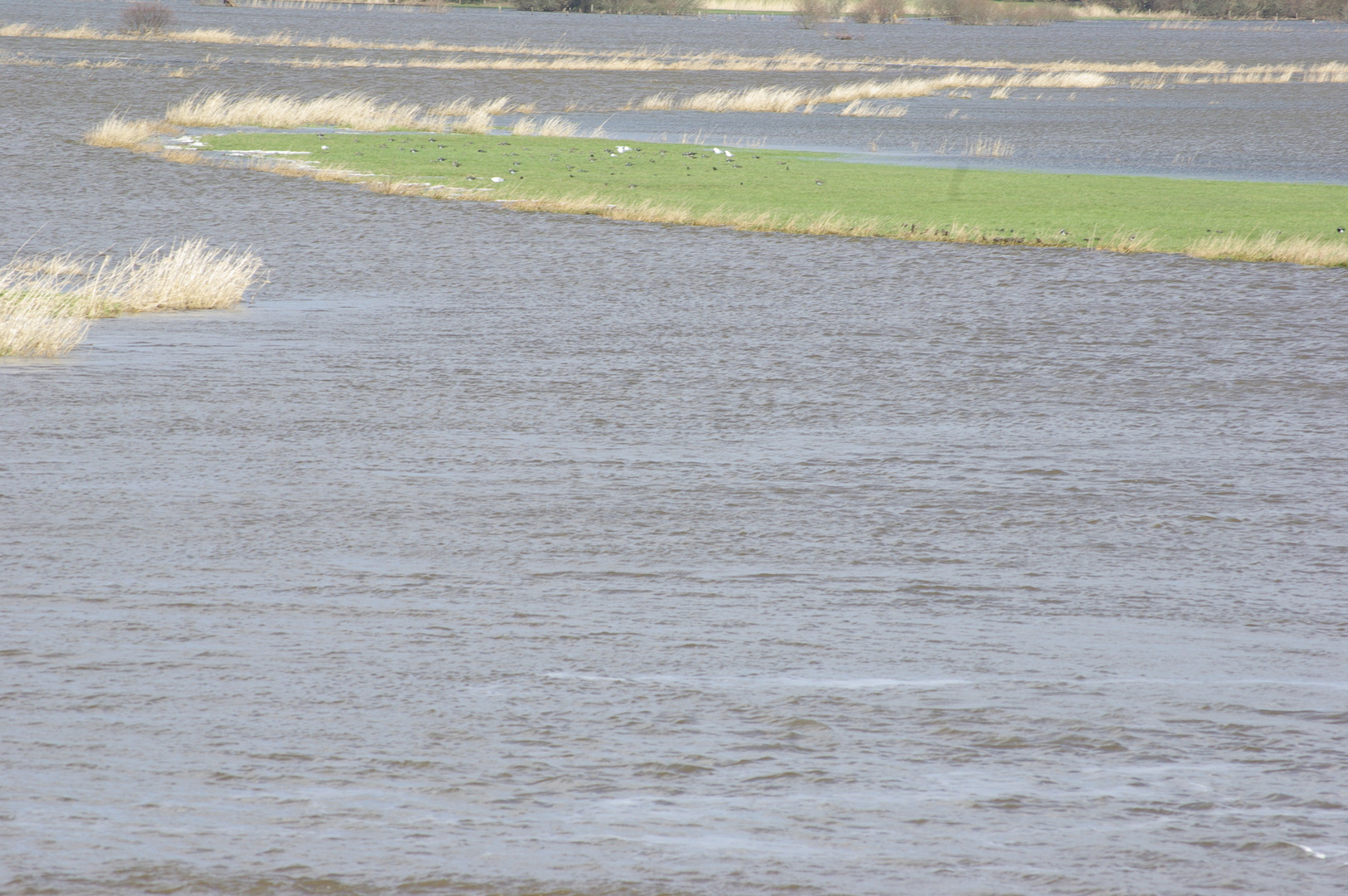 Marais en tempête