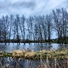 Marais inondation