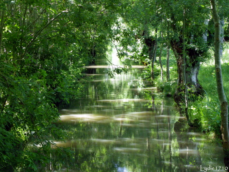 « marais mouillé »