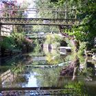 Marais Poitevin