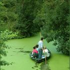 Marais Poitevin (1)