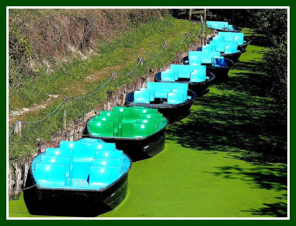 MARAIS POITEVIN - 1 -