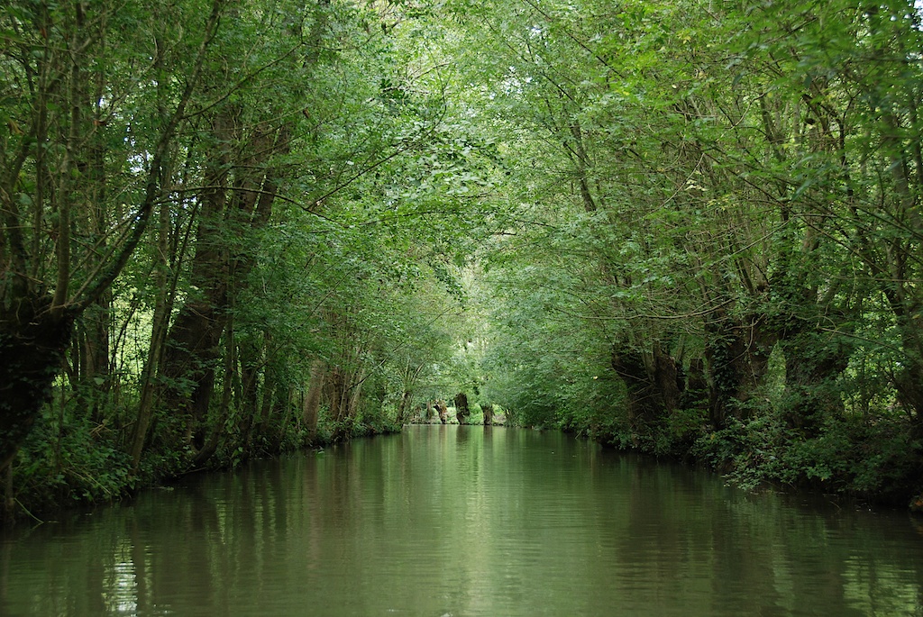 Marais Poitevin 1