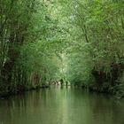 Marais Poitevin 1