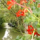 Marais Poitevin