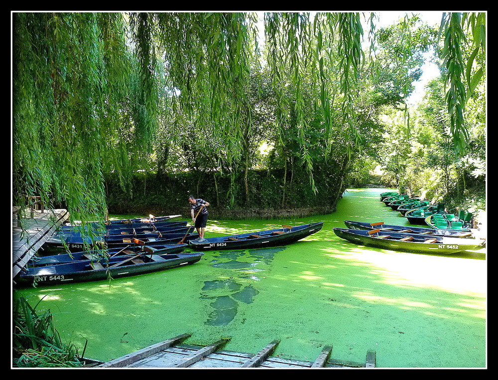 MARAIS POITEVIN - 2 -