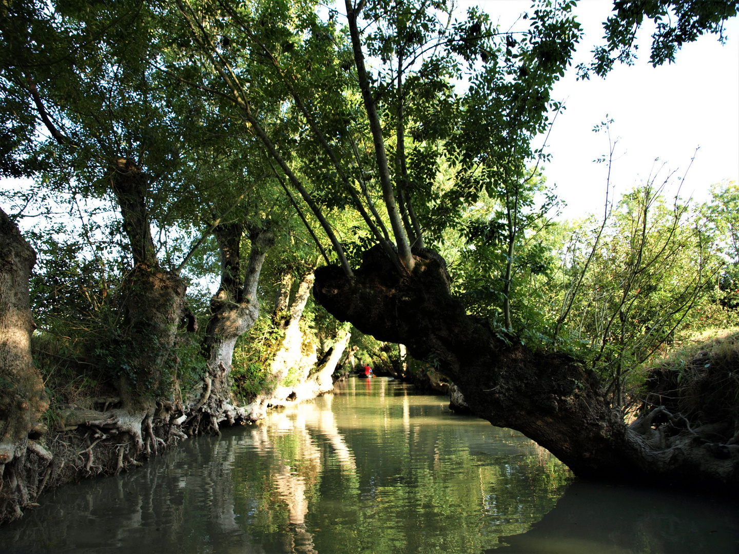 marais poitevin