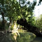 marais poitevin