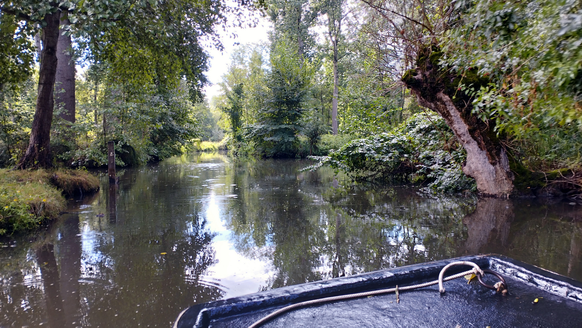 Marais Poitevin