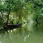 Marais Poitevin 6