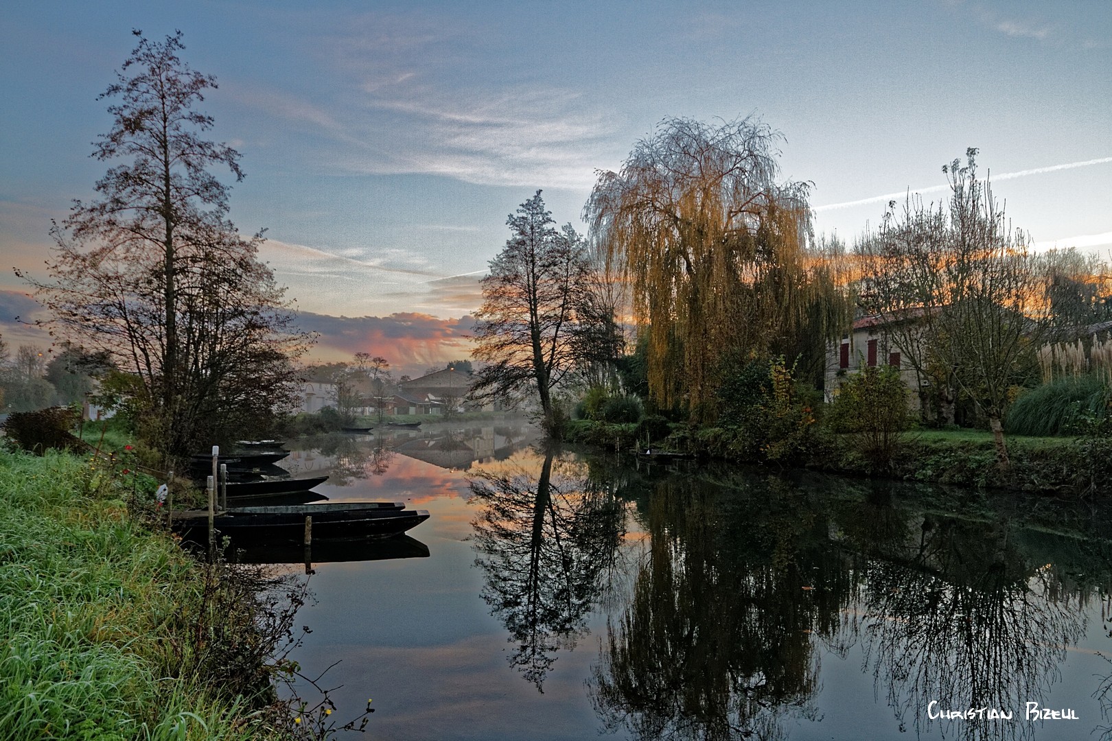 Marais Poitevin à l'aube