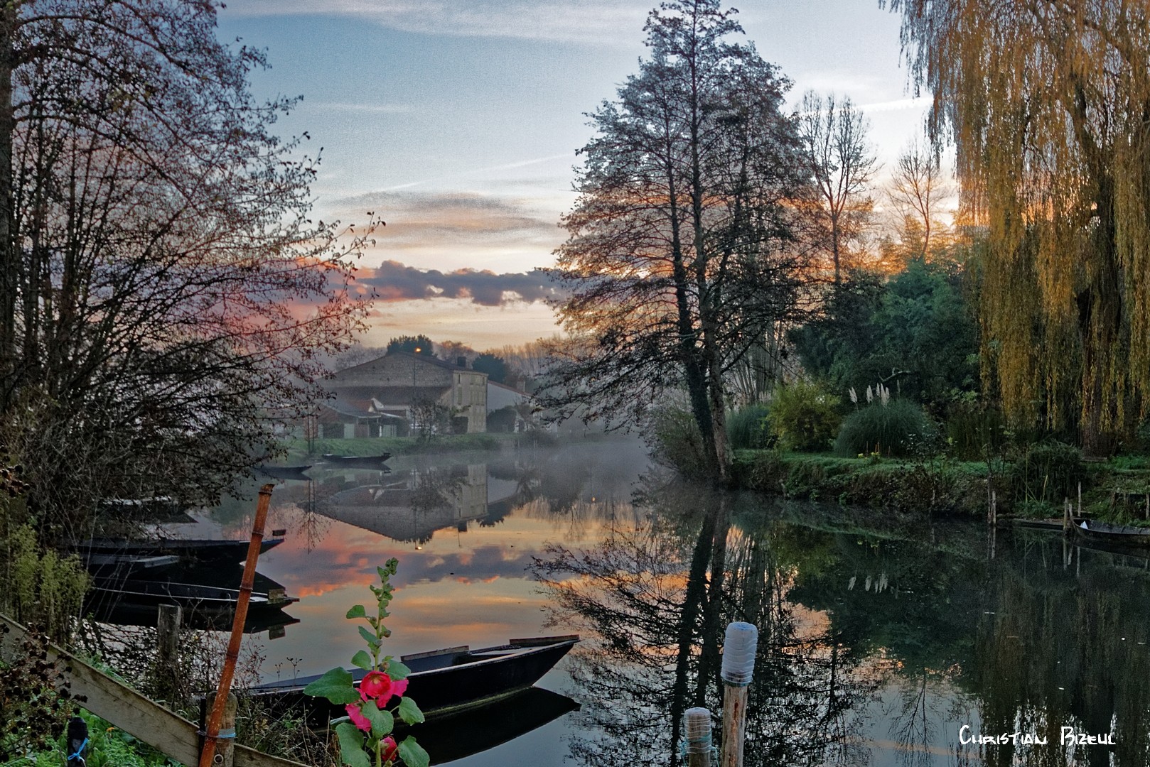 Marais Poitevin à l'aube