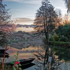 Marais Poitevin à l'aube