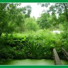 Marais poitevin